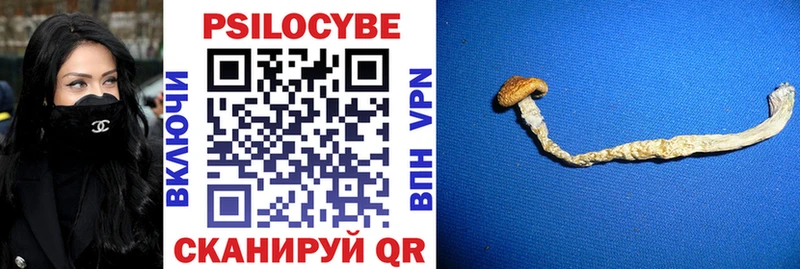 где найти наркотики  Приволжский  Галлюциногенные грибы Magic Shrooms 
